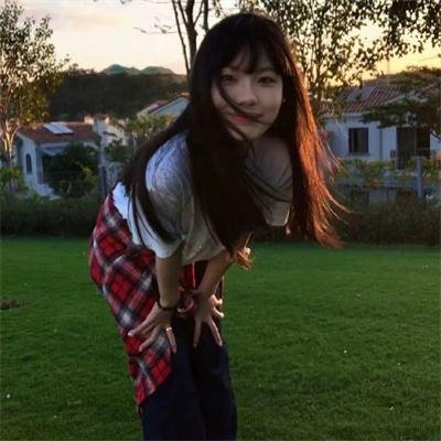 情来.算尽爱