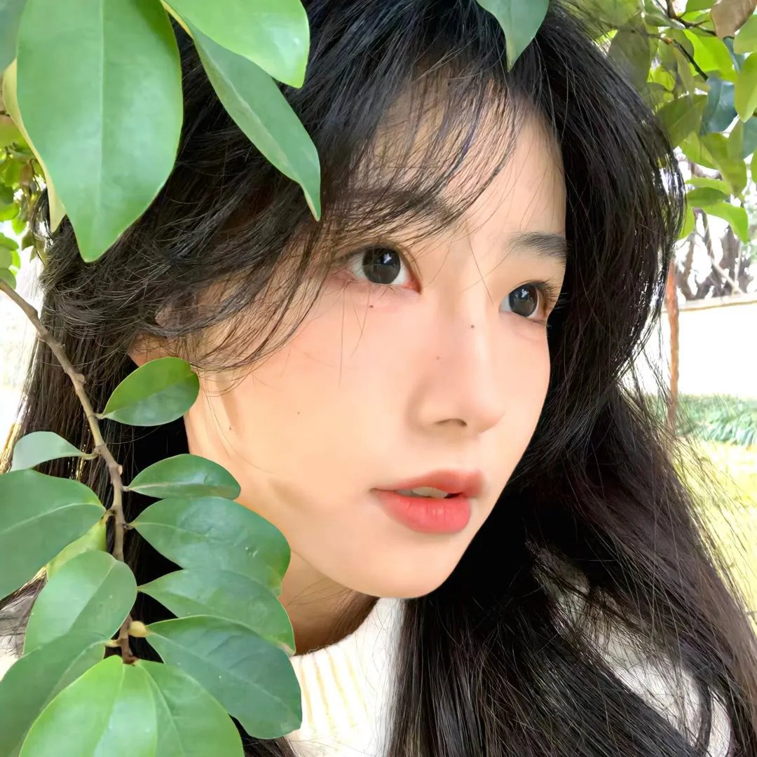 祖国的花朵
